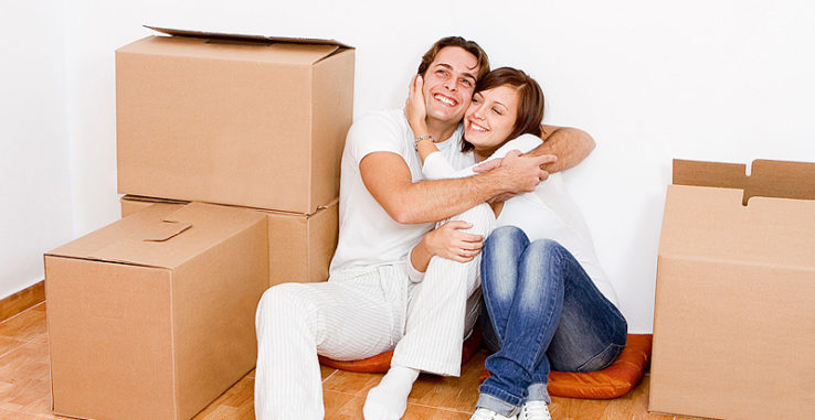 Mauris fermentum dictum